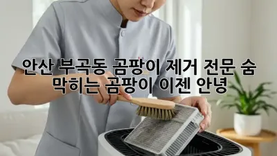 안산 부곡동 곰팡이 제거 전문: 숨 막히는 곰팡이, 이젠 안녕!
