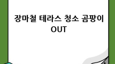테라스 청소✨ 완벽 가이드: 초보 탈출! 🏡